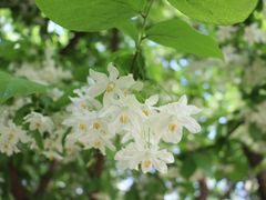 -河南省黄河迎宾馆