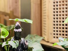 -邈墨茶馆(凤起路店)