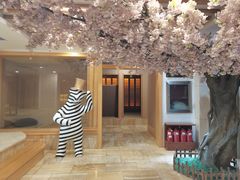 -碧中海汤泉汗蒸酒店