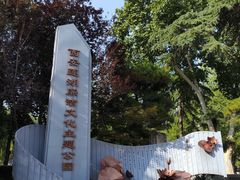 -莲湖公园