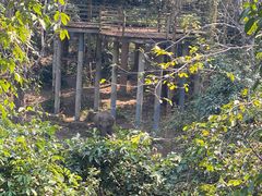 -野象谷景区