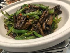 青椒炒鳝鱼-野渡坡·极致湘菜·庭院餐厅(汉阳店)