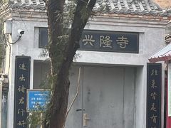 -白水寺森林公园