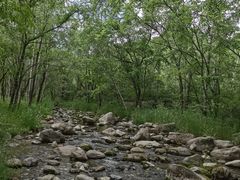 -玉渡山自然风景区