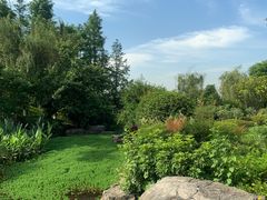 -铁山坪森林公园