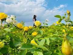 -廊坊文化艺术中心