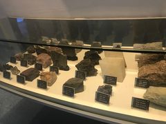 -金钉子远古世界景区