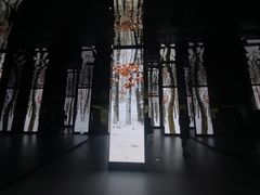 -中国湿地博物馆