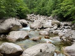 -青峰峡国家森林公园