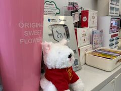 -瑞派·关忠动物医院·猫专科·犬专科(三环新城店)