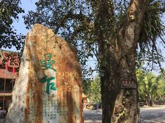 -西双版纳傣族园