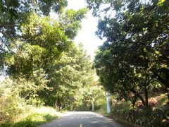 -广州市石门国家森林公园