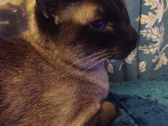 iphone_upload_pic-Sirena海妖日咖夜酒