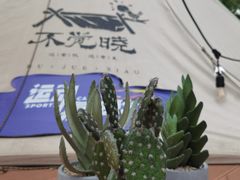 -不觉晓CAMPING(上海迪士尼营地店)