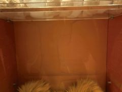 -丽思卡尔顿酒店泳池(金融街店)