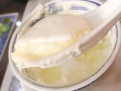招牌双皮奶-仁信老铺(嘉信店)