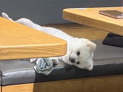 -小姐姐的鸭店(云锦路店)