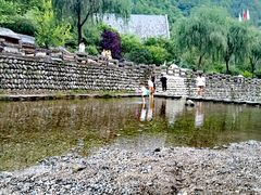 -牛背梁国家森林公园
