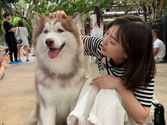 -TrueLove @ Neverland (Husky Cafe)