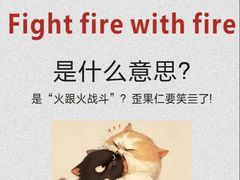 -环亚琅文现代英语·青少·雅思托福·成人英语