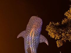 -珠海长隆海洋王国