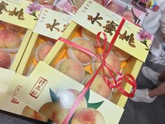 -南汇水蜜桃采摘(大团店)