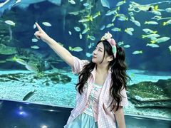 -海合安武汉极地海洋公园