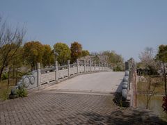 -上海海湾国家森林公园