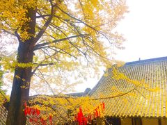 -金堂县云顶石城风景区