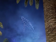 -珠海长隆海洋王国