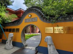 -龙华素斋(龙华路店)