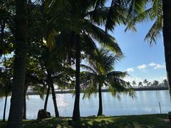 -一茶一点(海景店)