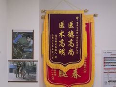 -特一安24小时宠物医院·骨科·中兽医