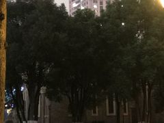 -重庆市江北嘴中央商务区中央公园