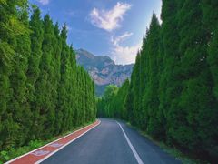 -青龙山生态文化旅游区