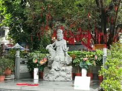 -南宁良凤江国家森林公园