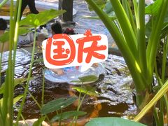 -融汇温泉