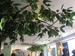 -仙踪林(北展店)