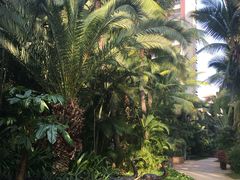 -三亚湾海居铂尔曼度假酒店