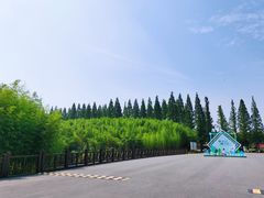 -黄海国家森林公园