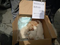 -桃源市场(解放路店)