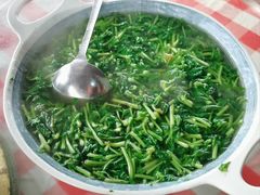-绿草墩