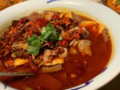 毛血旺-辛香汇(飞洲店)