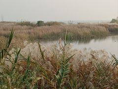-苏州太湖国际会议中心