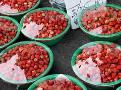 -江杨农产品批发市场