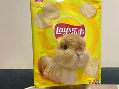 -爱侣宠医·鹦鹉专科·小型哺乳类·异宠专科(灵石路店)