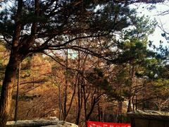-崂山巨峰游览区