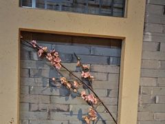 -呷哺呷哺 黄金牧场 (欢乐谷店)