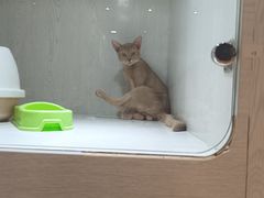 -乐宠宠物店(世纪金源店)