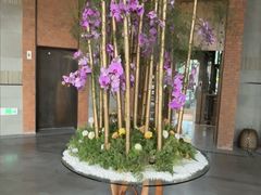 -浅深Cheersum(曹杨店)